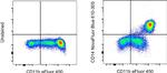 CD14 Antibody in Flow Cytometry (Flow)