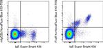 FceR1 alpha Antibody in Flow Cytometry (Flow)