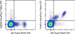 FceR1 alpha Antibody in Flow Cytometry (Flow)