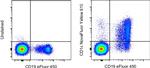 CD1c Antibody in Flow Cytometry (Flow)