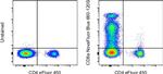 CD8a Antibody in Flow Cytometry (Flow)