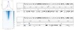 H3K4me3 Antibody in ChIP-Sequencing (ChIP-seq)