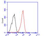 Dopamine Transporter Antibody in Flow Cytometry (Flow)