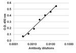 IL-2 Antibody in ELISA (ELISA)