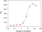 Human IL-8 ELISA Kit