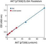 Human AKT (Phospho) [pT308] ELISA Kit