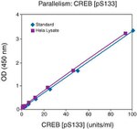 Human CREB (Phospho) [pS133] ELISA Kit