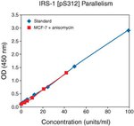 Human IRS1 (Phospho) [pS312] ELISA Kit