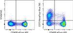 CD73 Antibody in Flow Cytometry (Flow)