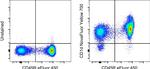 CD1d Antibody in Flow Cytometry (Flow)