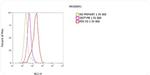 Mouse IgG (H+L) Secondary Antibody in Flow Cytometry (Flow)