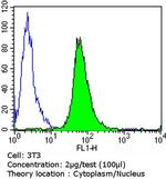 Glucocorticoid Receptor Antibody in Flow Cytometry (Flow)