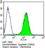 CD155 Antibody in Flow Cytometry (Flow)