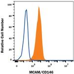 CD146 Antibody in Flow Cytometry (Flow)