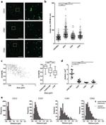 CD82 Antibody in Flow Cytometry (Flow)