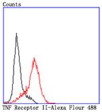 TNFR2 Antibody in Flow Cytometry (Flow)