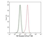 TNFR2 Antibody in Flow Cytometry (Flow)