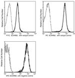 LIMP2 Antibody in Flow Cytometry (Flow)