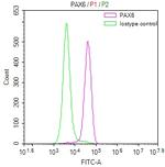 PAX6 Antibody in Flow Cytometry (Flow)