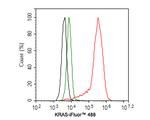 K-Ras Antibody in Flow Cytometry (Flow)