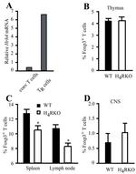 CD4 Antibody in Flow Cytometry (Flow)