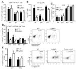 CD4 Antibody in Flow Cytometry (Flow)