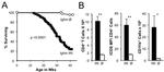 CD4 Antibody in Flow Cytometry (Flow)