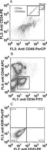 CD45 Antibody in Flow Cytometry (Flow)