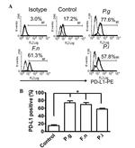 CD274 (PD-L1, B7-H1) Antibody in Flow Cytometry (Flow)