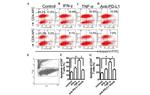 CD274 (PD-L1, B7-H1) Antibody in Flow Cytometry (Flow)