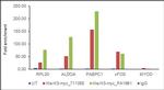 Myc Tag Antibody in ChIP Assay (ChIP)