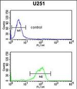 IL5RA Antibody in Flow Cytometry (Flow)