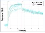 FGF21 Antibody in Surface plasmon resonance (SPR)