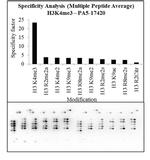 H3K4me3 Antibody in Peptide array (Array)