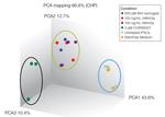 Wnt Surrogate-Fc Fusion Protein in Functional Assay (Functional)