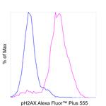 Phospho-Histone H2A.X (Ser139) Antibody in Flow Cytometry (Flow)