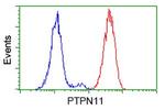 PTPN11 Antibody in Flow Cytometry (Flow)