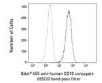 CD10 Antibody in Flow Cytometry (Flow)