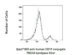 CD19 Antibody in Flow Cytometry (Flow)