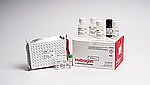 Mouse IgA Rapid ELISA Kit (EELR012)