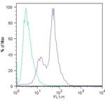 SOX2 Antibody in Flow Cytometry (Flow)