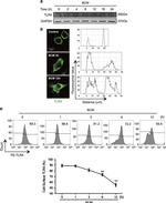 CD284 (TLR4) Antibody in Flow Cytometry (Flow)