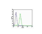 Integrin Alpha V + Beta 3 Antibody in Flow Cytometry (Flow)