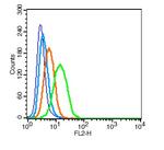 Integrin Alpha V + Beta 3 Antibody in Flow Cytometry (Flow)