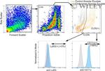 Ly-6G/Ly-6C Antibody in Flow Cytometry (Flow)