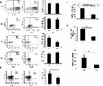 IL-17A Antibody in Flow Cytometry (Flow)