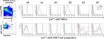 CD117 (c-Kit) Antibody in Flow Cytometry (Flow)