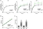 Transferrin Receptor Antibody in Immunocytochemistry (ICC/IF)