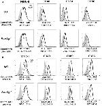 MHC Class II I-Ab Antibody in Flow Cytometry (Flow)