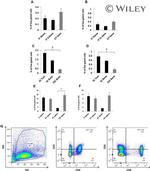 CD8a Antibody in Flow Cytometry (Flow)